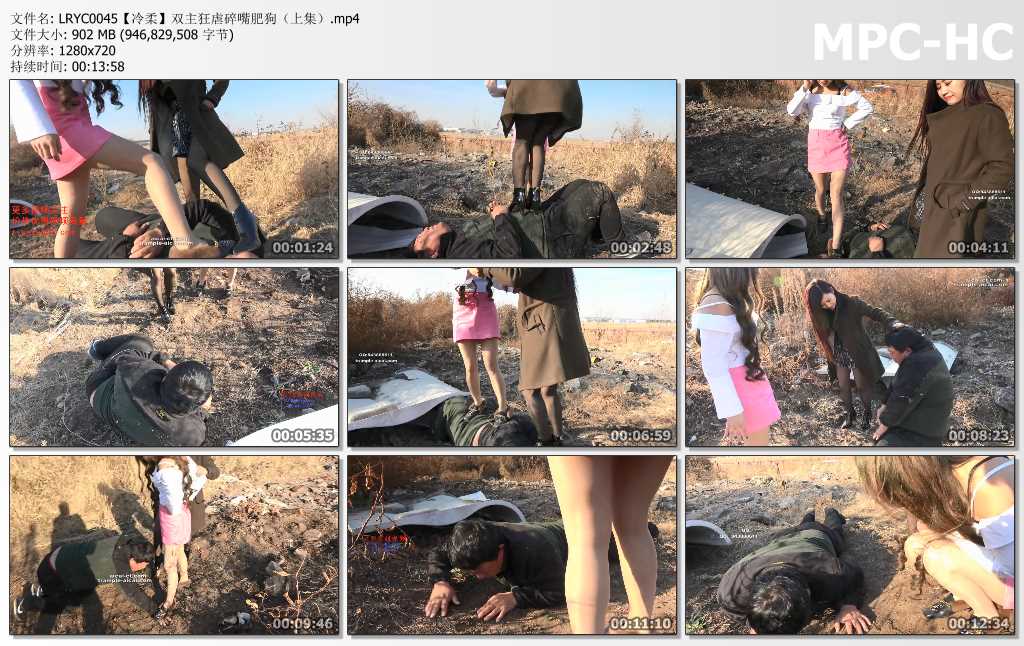 LRYC0045【冷柔】双主狂虐碎嘴肥狗（上集）.mp4_thumbs.jpg