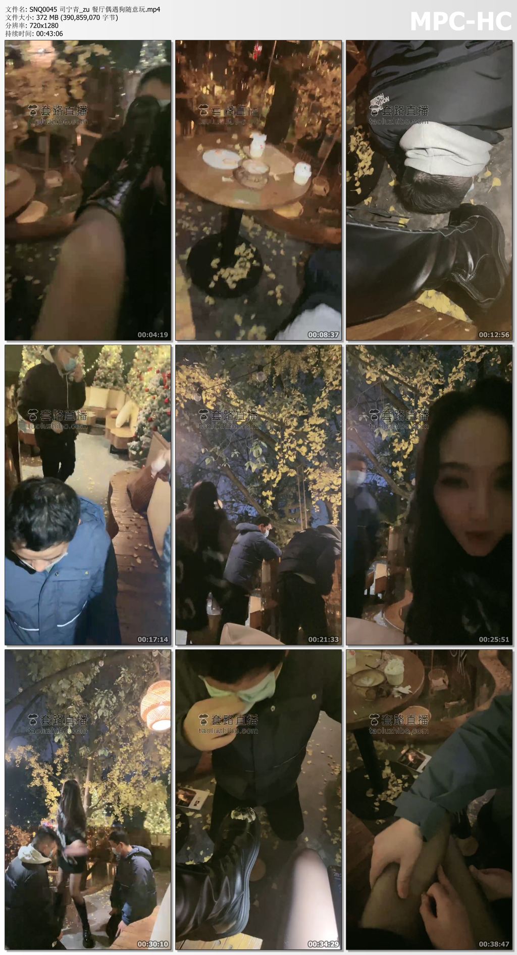 SNQ0045 司宁青_餐厅偶遇狗随意玩.jpg