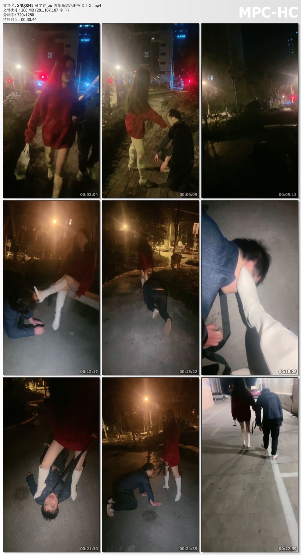 SNQ0041 司宁青_深夜暴虐尾随狗 上集.jpg