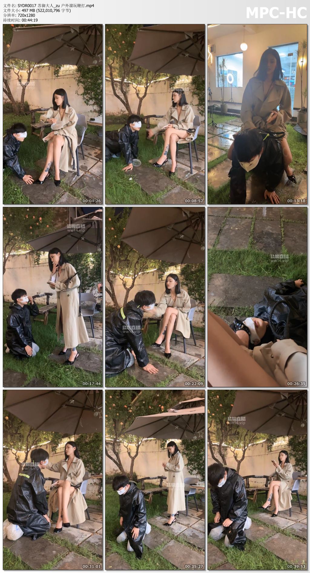 SYDR0017 苏御大人_户外溜玩鞭打.jpg