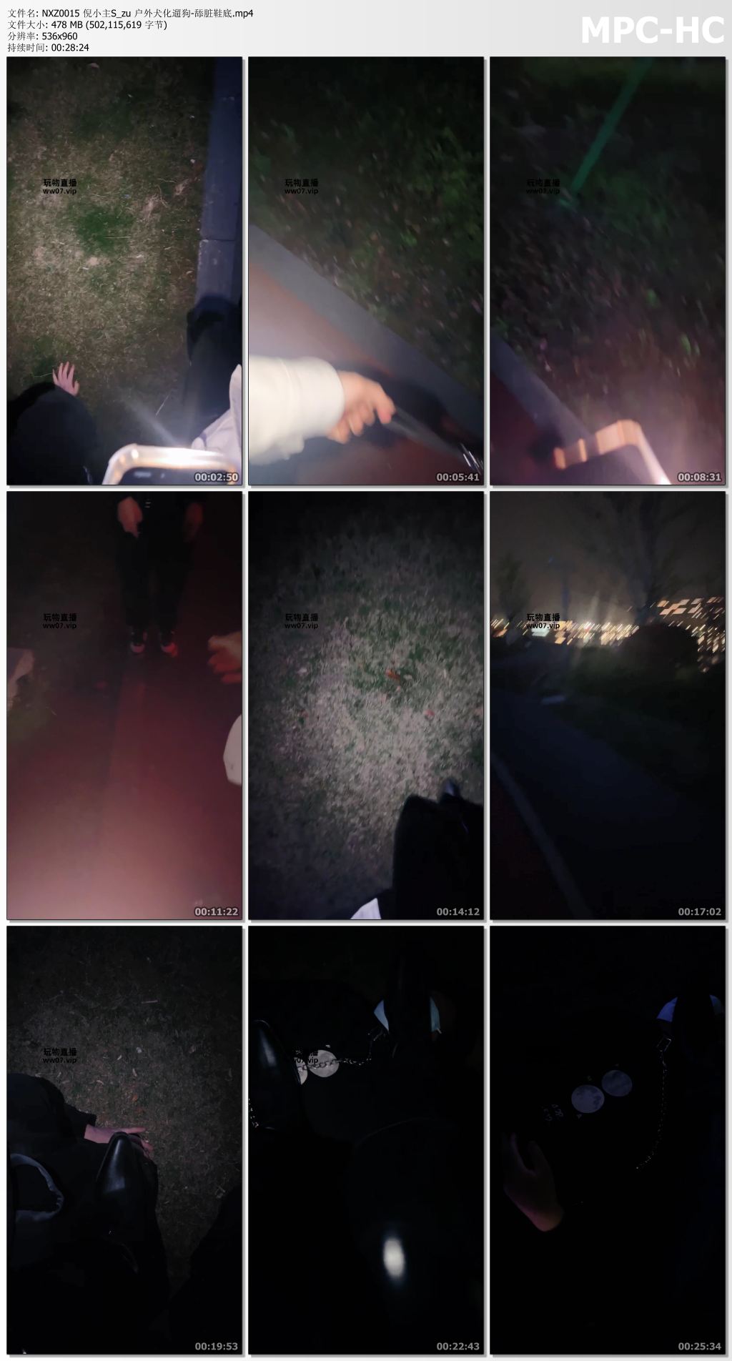 NXZ0015 倪小主_户外犬化遛狗舔脏鞋底.jpg
