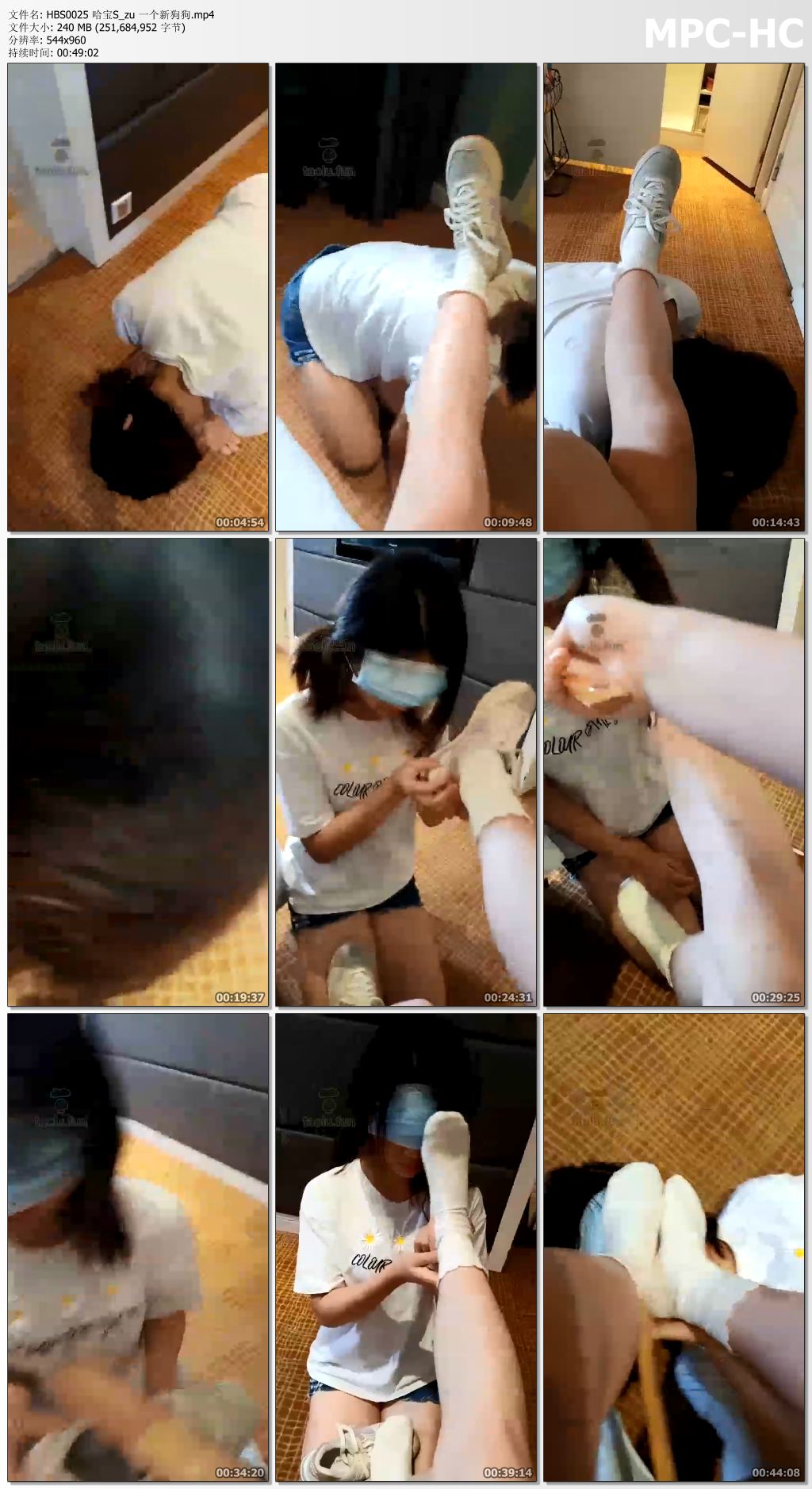 HBS0025 哈宝S_一个新狗狗.jpg
