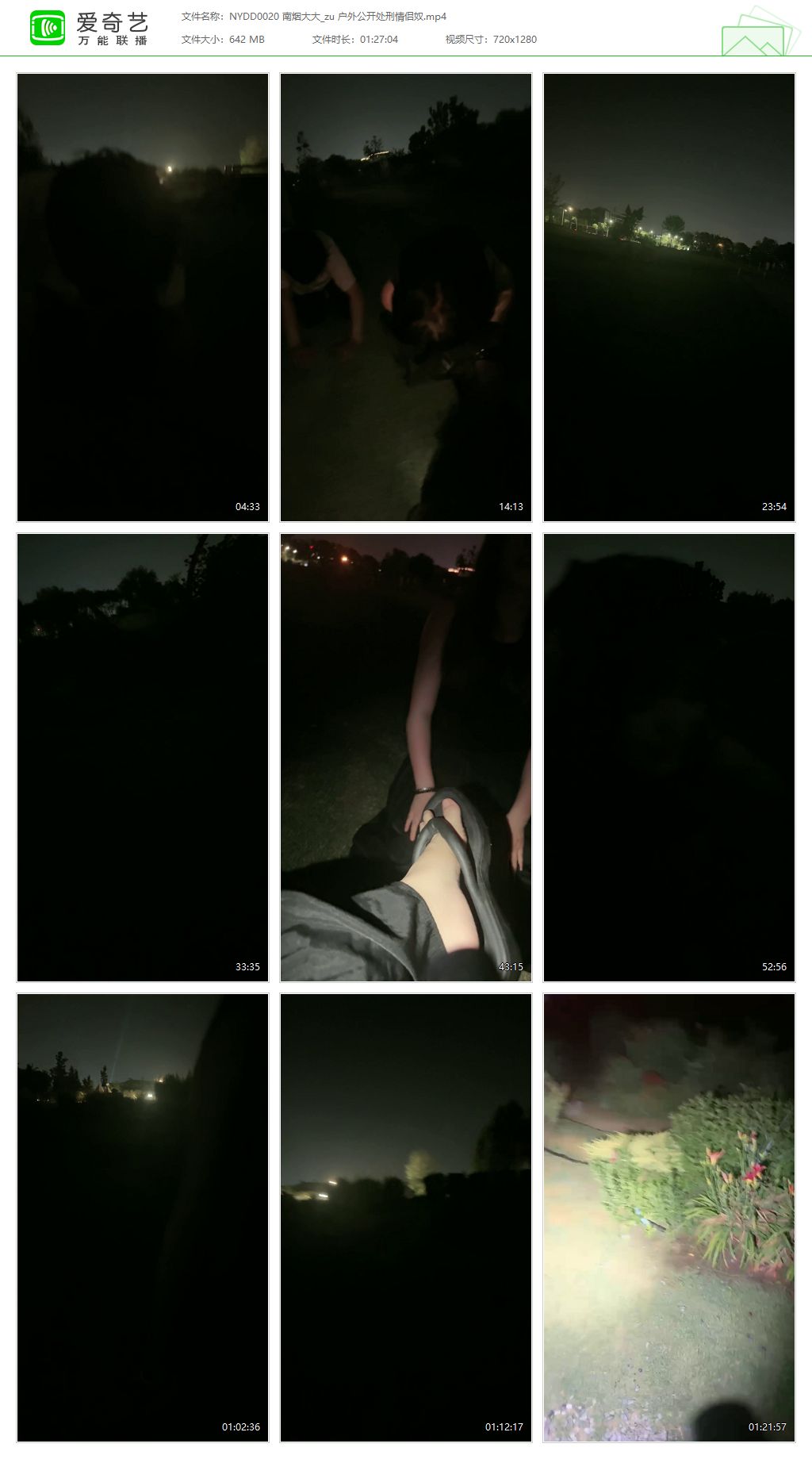 NYDD0020 南烟大大_户外公开处刑情侣奴.jpg