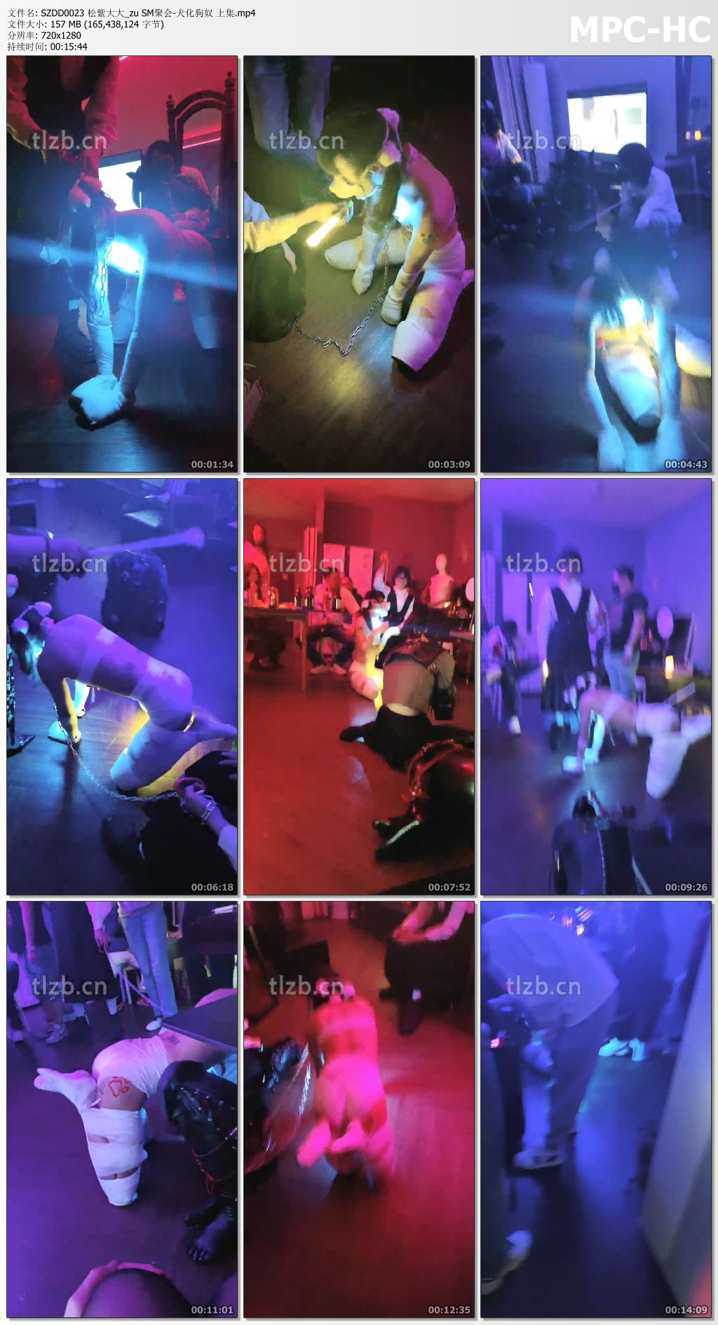 SZDD0023 松紫大大_SM聚会之犬化狗奴 上集.jpg