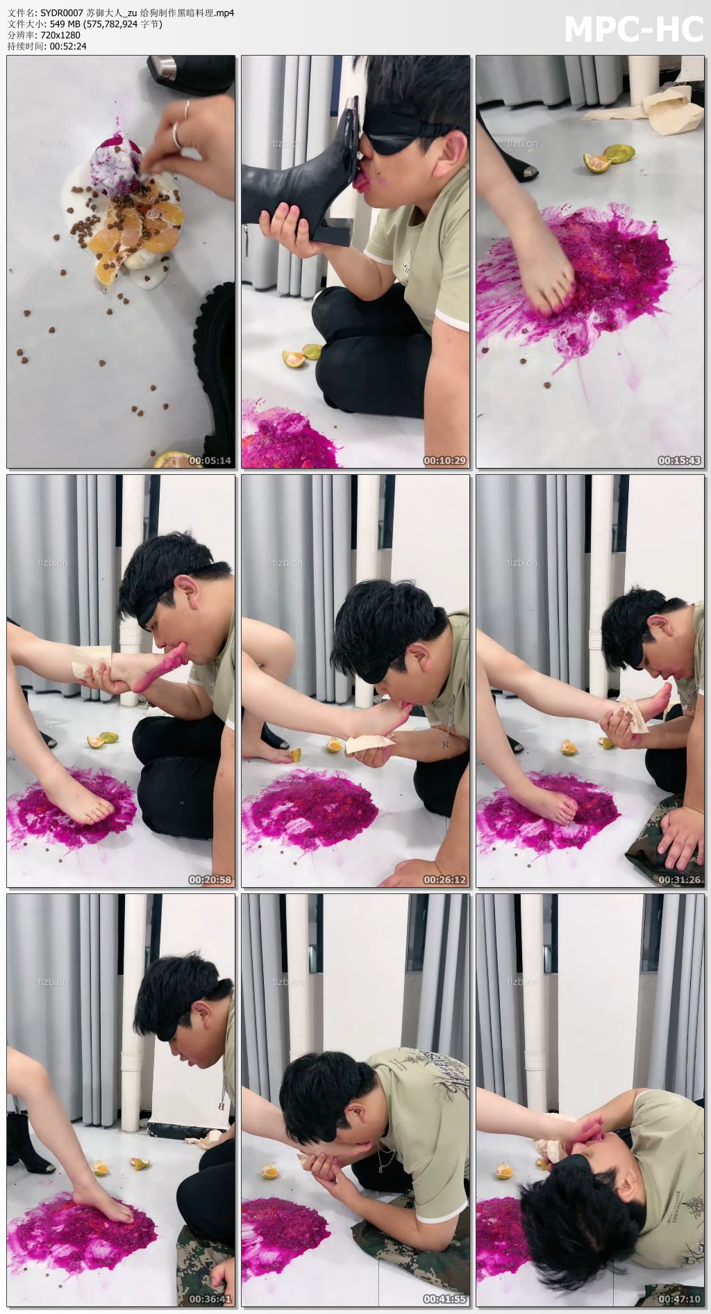 SYDR0007 苏御大人_给狗制作黑暗料理.jpg