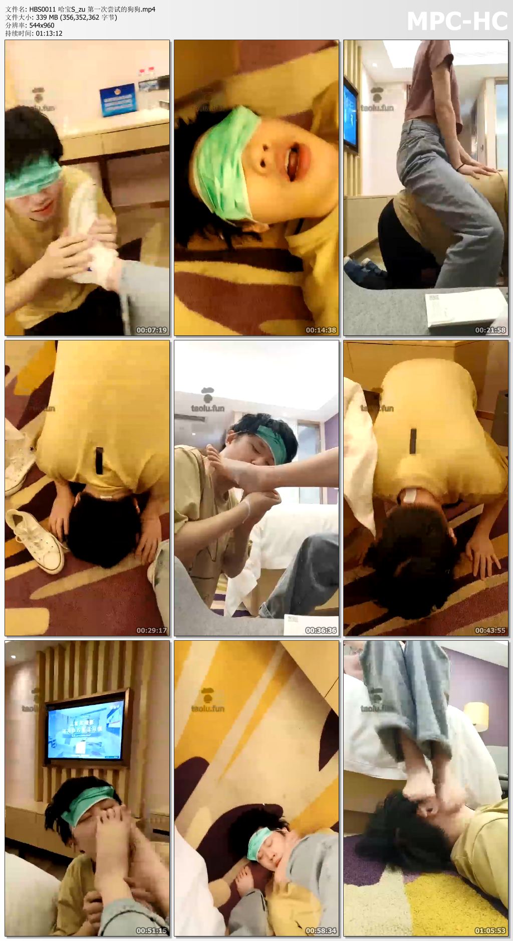 HBS0011 哈宝S_第一次尝试的狗狗.jpg
