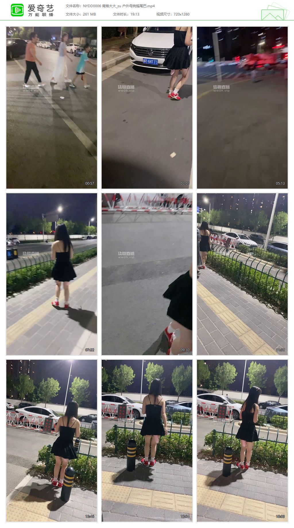 NYDD0006 南烟大大_户外母狗摇尾巴.jpg