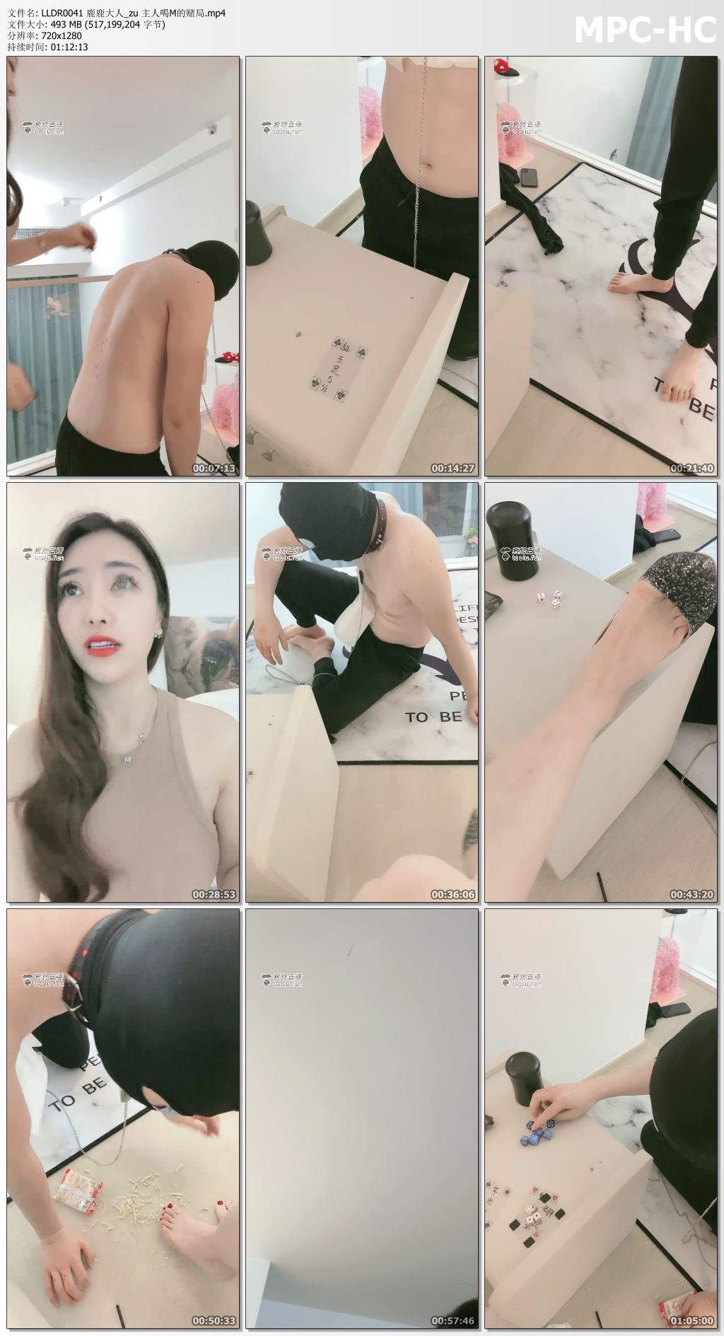 LLDR0041 鹿鹿大人_主人喝M的赌局.jpg