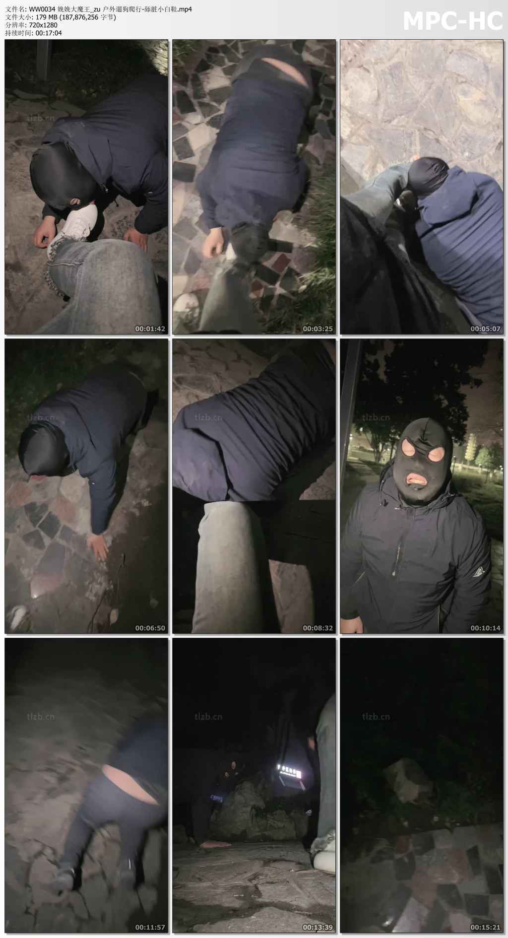 WW0034 娩娩大魔王_户外遛狗爬行 舔脏小白鞋.jpg