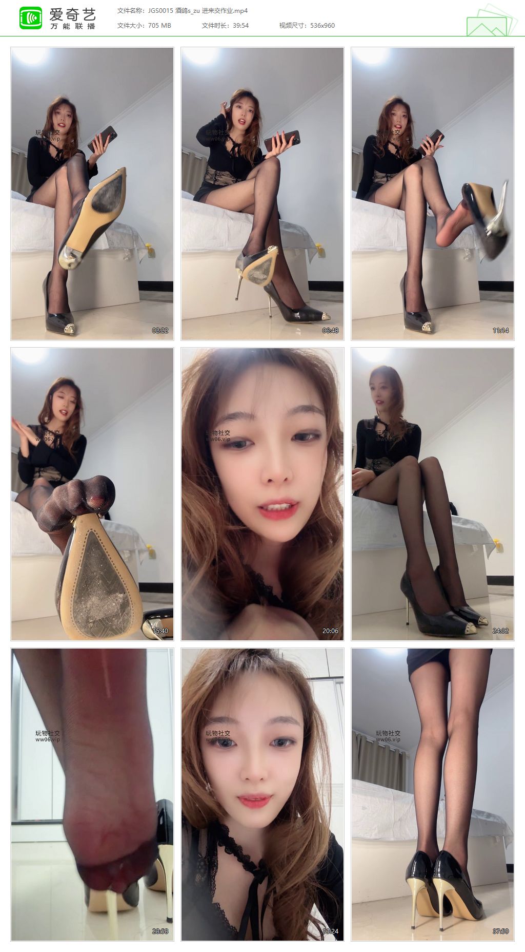 JGS0015 酒鸽S_进来交作业.jpg