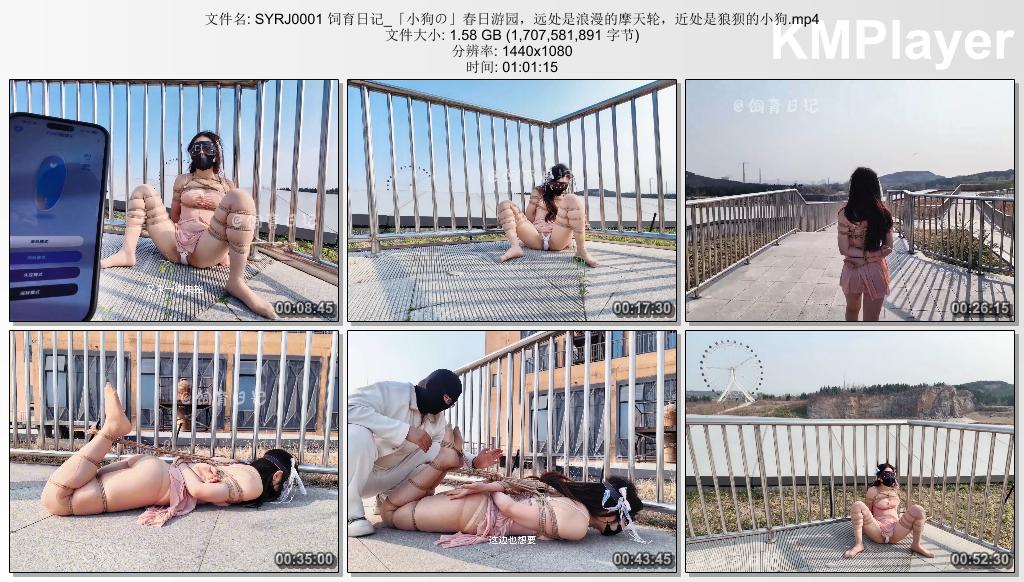 SYRJ0001 小狗の饲育日记_春日游园，远处是浪漫的摩天轮，近处是狼狈的小狗.jpg