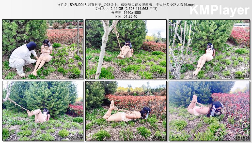 SYRJ0013 饲育日记_公路边上，戴啵啵贝最极限露出，不知被多少路人看到.mp4_thumbs_[2.jpg