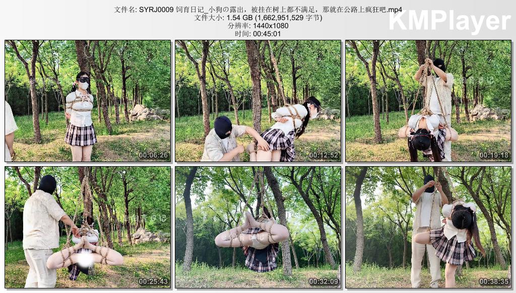 SYRJ0009 饲育日记_小狗の露出，被挂在树上都不满足，那就在公路上疯狂吧.mp4_thumbs_.jpg