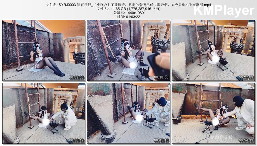 SYRJ0003 饲育日记_「小狗の」工业遗迹，机器的轰鸣已成过眼云烟，如今只剩小狗在歌唱.jpg