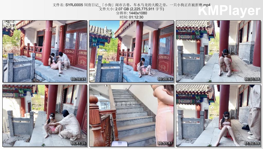 SYRJ0005 饲育日记_「小狗」闹市古巷，车水马龙的大殿之旁，一只小狗正在被折磨.mp4_t.jpg