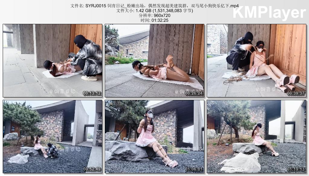 SYRJ0015 饲育日记_粉嫩出场，偶然发现超美建筑群，双马尾小狗快乐亿下.mp4_thumbs_[2.jpg