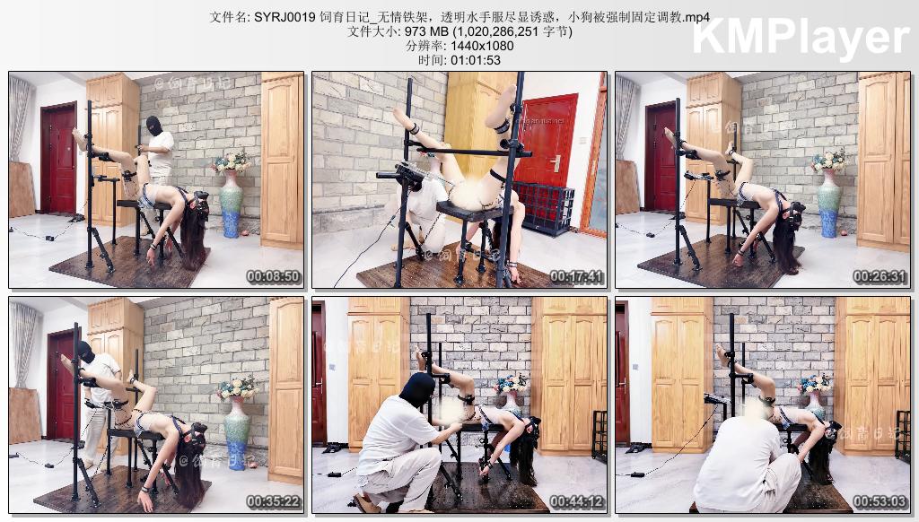 SYRJ0019 饲育日记_无情铁架，透明水手服尽显诱惑，小狗被强制固定调教.mp4_thumbs_[2.jpg