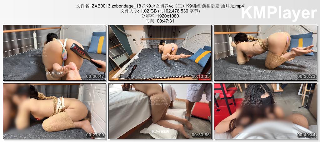 ZXB0013 zxbondage_18岁K9少女初养成（三）K9训练 前插后塞 抽耳光.mp4_thumbs_[2026..jpg