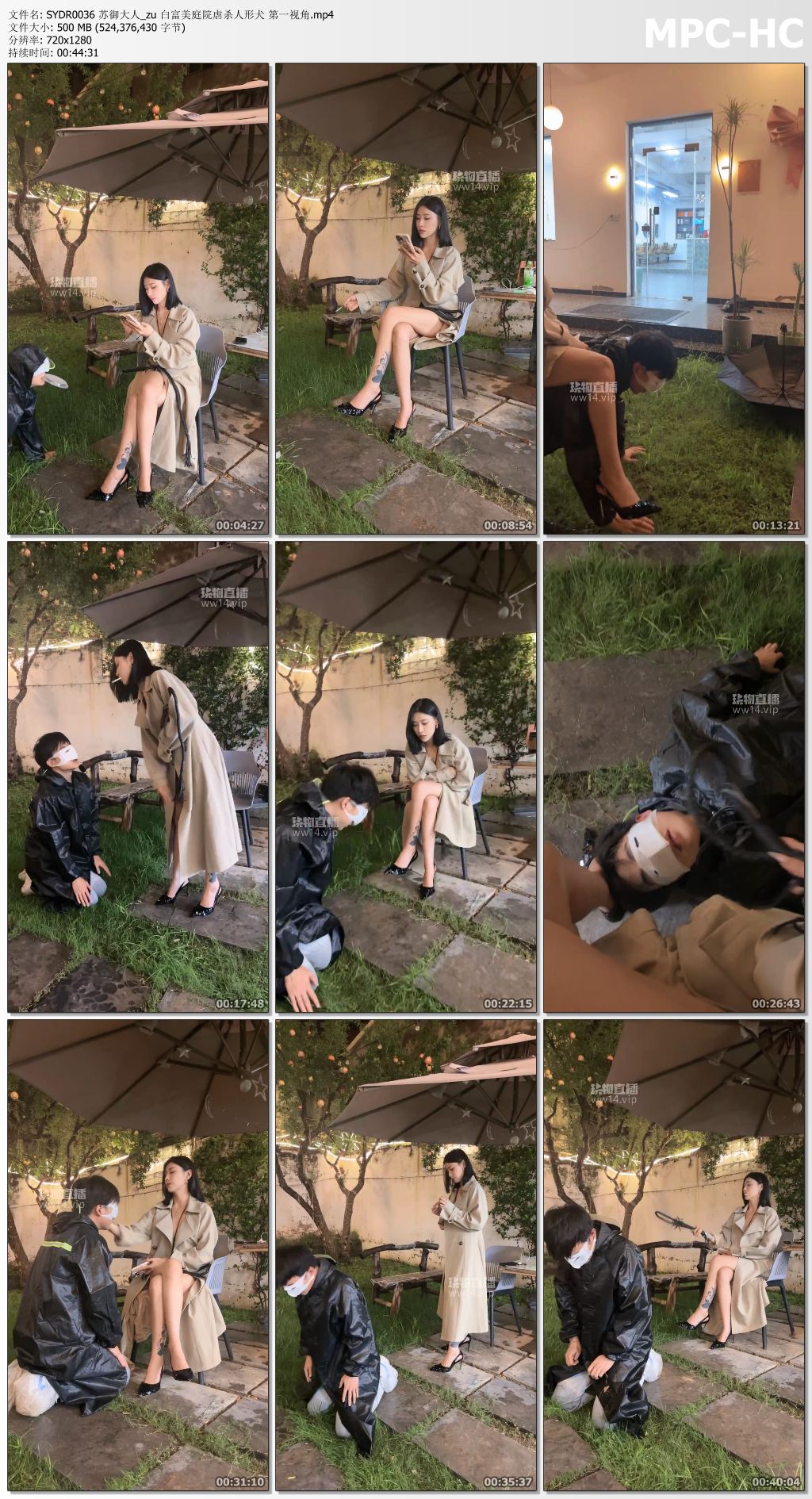 SYDR0036 苏御大人_zu 白富美庭院虐杀人形犬 第一视角.mp4_thumbs.jpg