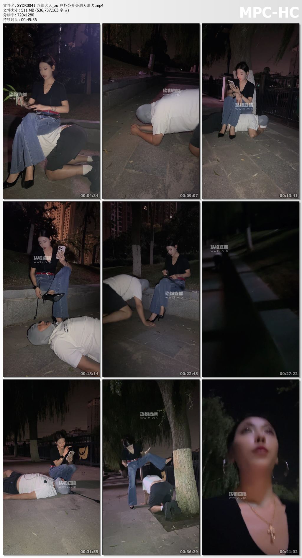 SYDR0041 苏御大人_zu 户外公开处刑人形犬.mp4_thumbs.jpg