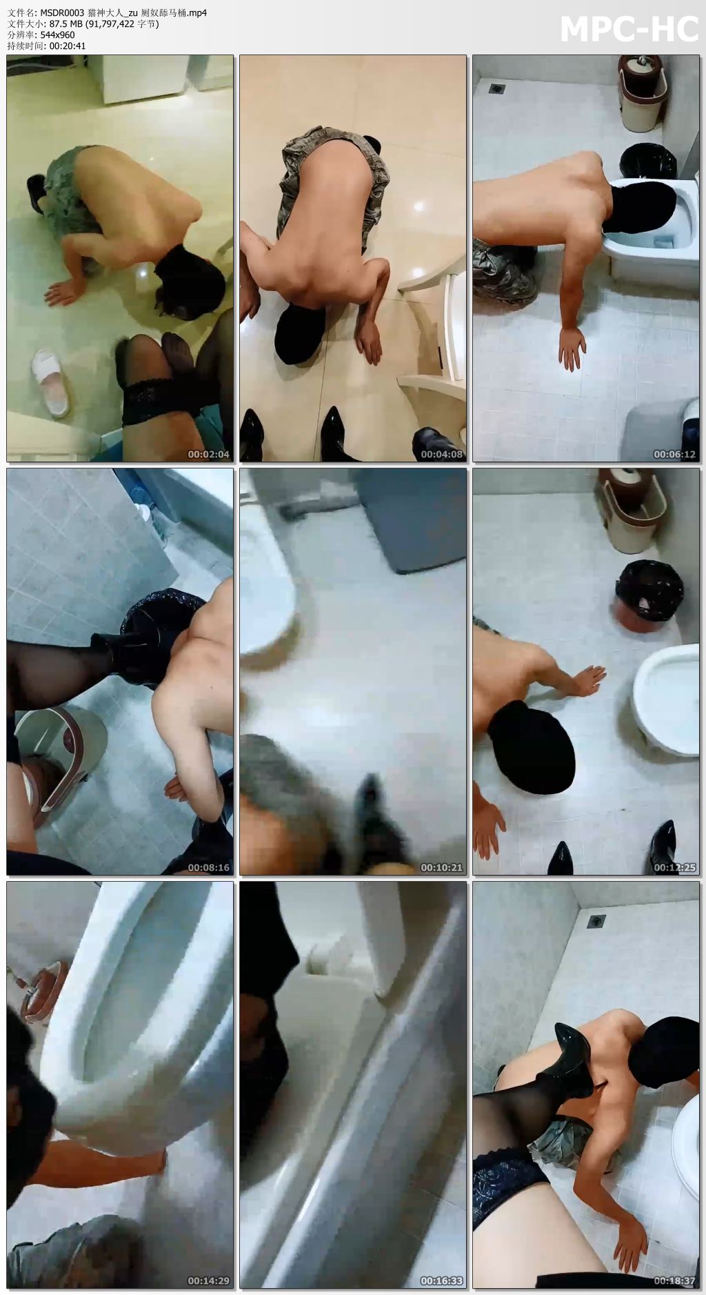 MSDR0003 猫神大人_zu 厕奴舔马桶.mp4_thumbs.jpg
