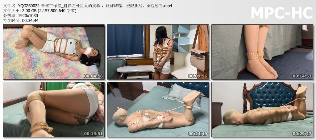 YQGZS0022 云雀工作室_柳洋之外星人的实验 丝袜堵嘴全包惩罚极限挑战.jpg