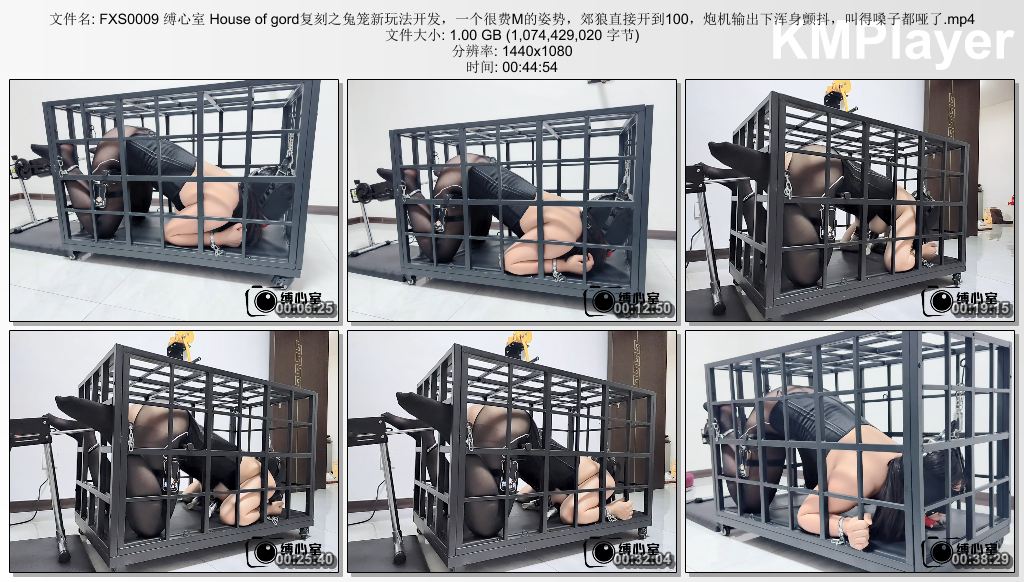 FXS0009 缚心室_House of gord复刻之兔笼新玩法开发 一个很费M的姿势 郊狼直接开到100.jpg