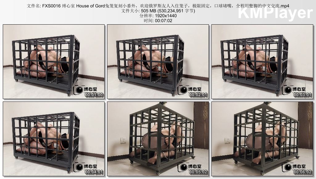 FXS0016 缚心室_House of Gord兔笼复刻小番外 欢迎俄罗斯友人入住笼子 口球堵嘴极限固.jpg