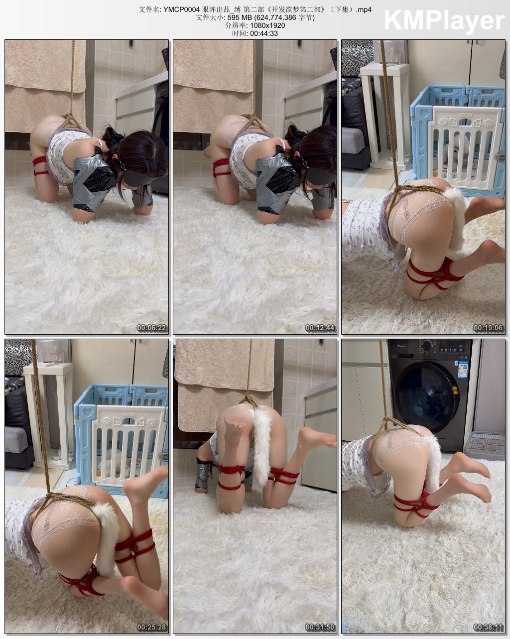 YMCP0004 眼眸出品_开发欲梦第二部 下集.jpg