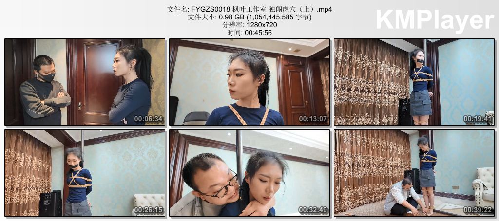 FYGZS0018 枫叶工作室 独闯虎穴（上）.mp4_thumbs_[2026.09.09_16.46.47].jpg