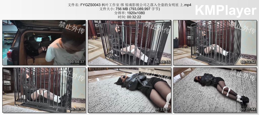 FYGZS0043 枫叶工作室 绑 惊魂影视公司之落入全套的女明星 上.mp4_thumbs_[2026.09.09.jpg
