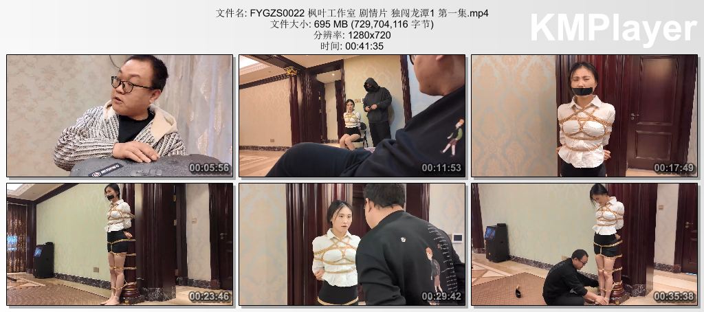 FYGZS0022 枫叶工作室 剧情片 独闯龙潭1 第一集.mp4_thumbs_[2026.09.09_16.47.12].jpg