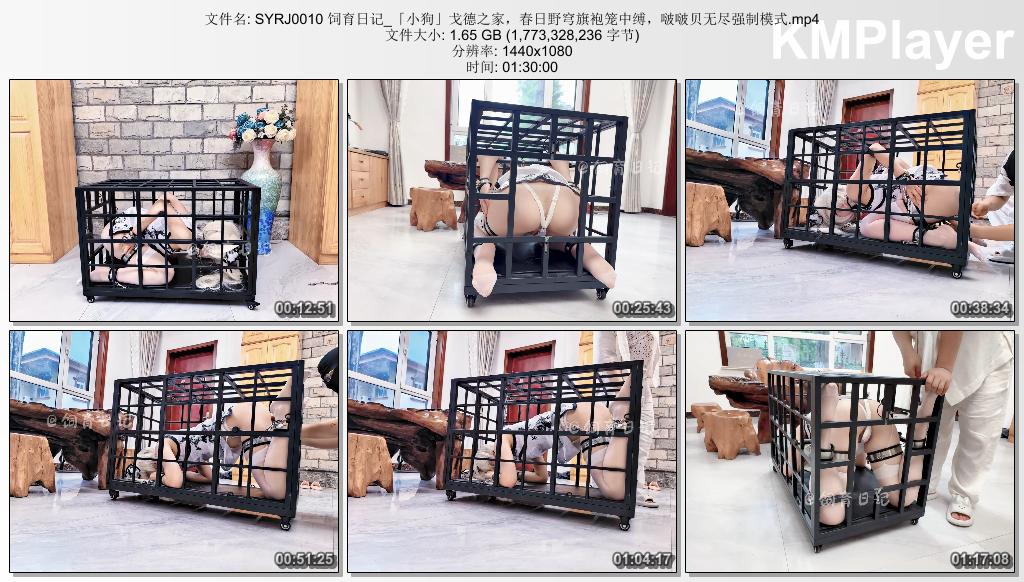 SYRJ0010 饲育日记_「小狗」戈德之家，春日野穹旗袍笼中缚，啵啵贝无尽强制模式.mp4_t.jpg