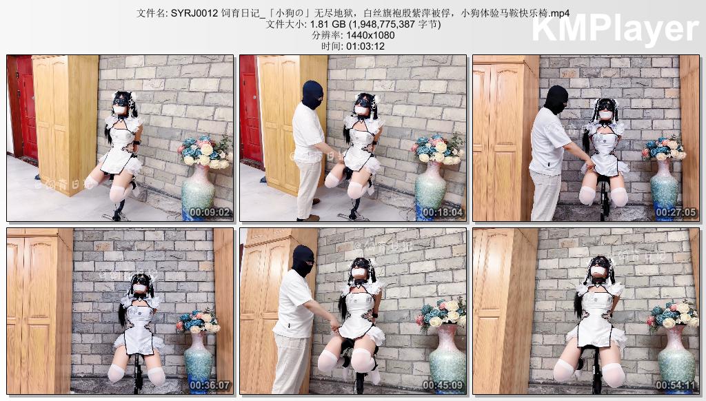 SYRJ0012 饲育日记_「小狗の」无尽地狱，白丝旗袍殷紫萍被俘，小狗体验马鞍快乐椅.mp4.jpg
