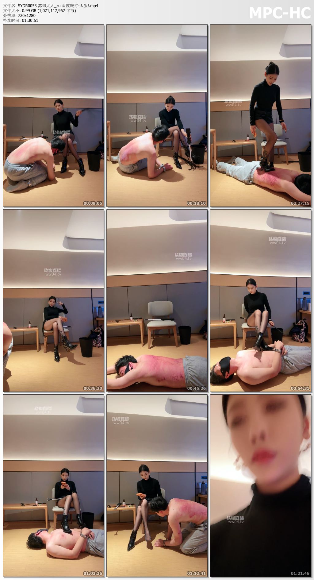 SYDR0053 苏御大人_zu 重度鞭打-太狠!.mp4_thumbs.jpg