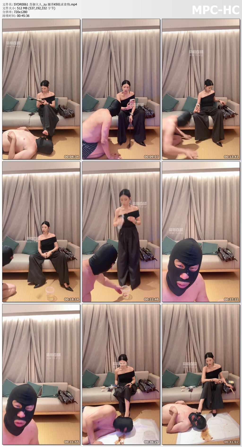 SYDR0061 苏御大人_zu 圈养K9跪求食物.mp4_thumbs.jpg