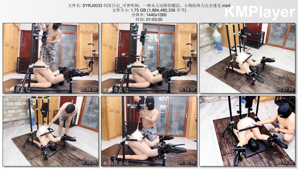 SYRJ0033 饲育日记_可曾听闻，一种从天而降的棍法，小狗的体力完全透支.mp4_thumbs_[2.jpg