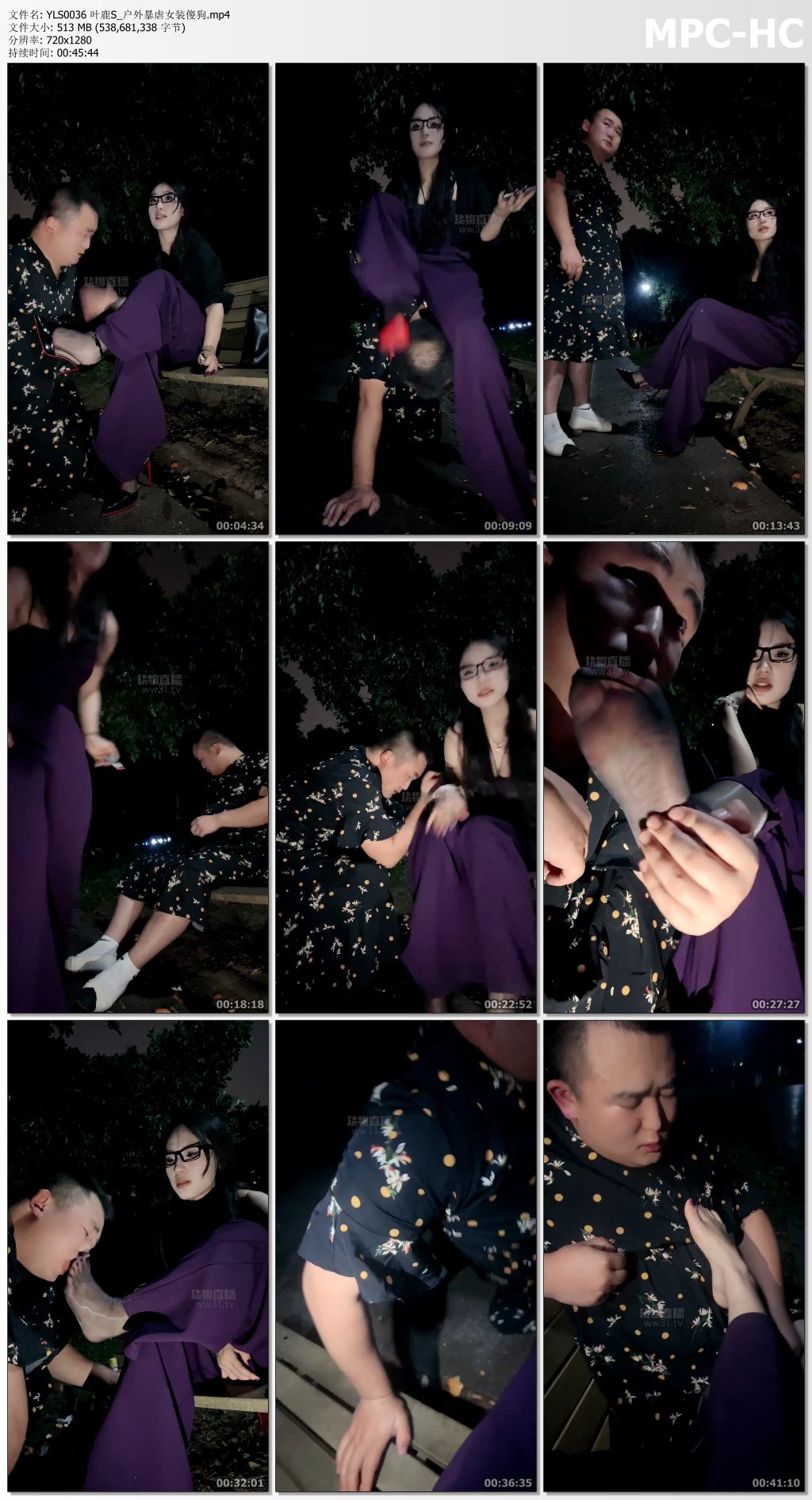 YLS0036 叶鹿S_户外暴虐女装傻狗.mp4_thumbs.jpg