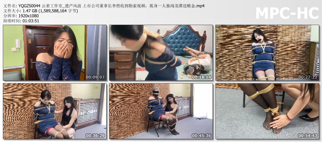 YQGZS0044 云雀工作室_遗产风波 上市公司董事长李然收到勒索视频，孤身一人独闯龙潭送.jpg
