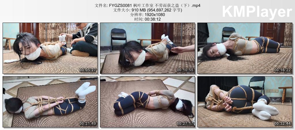 FYGZS0081 枫叶工作室 不劳而获之盗（下）.mp4_thumbs_[2026.09.09_19.52.30].jpg