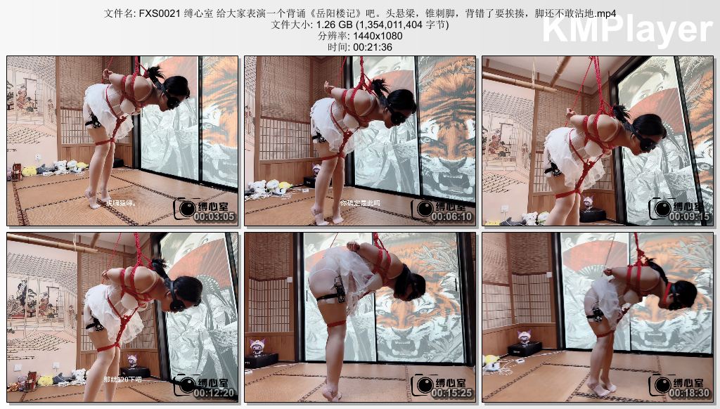 FXS0021 缚心室 给大家表演一个背诵《岳阳楼记》吧。头悬梁，锥刺脚，背错了要挨揍，.jpg