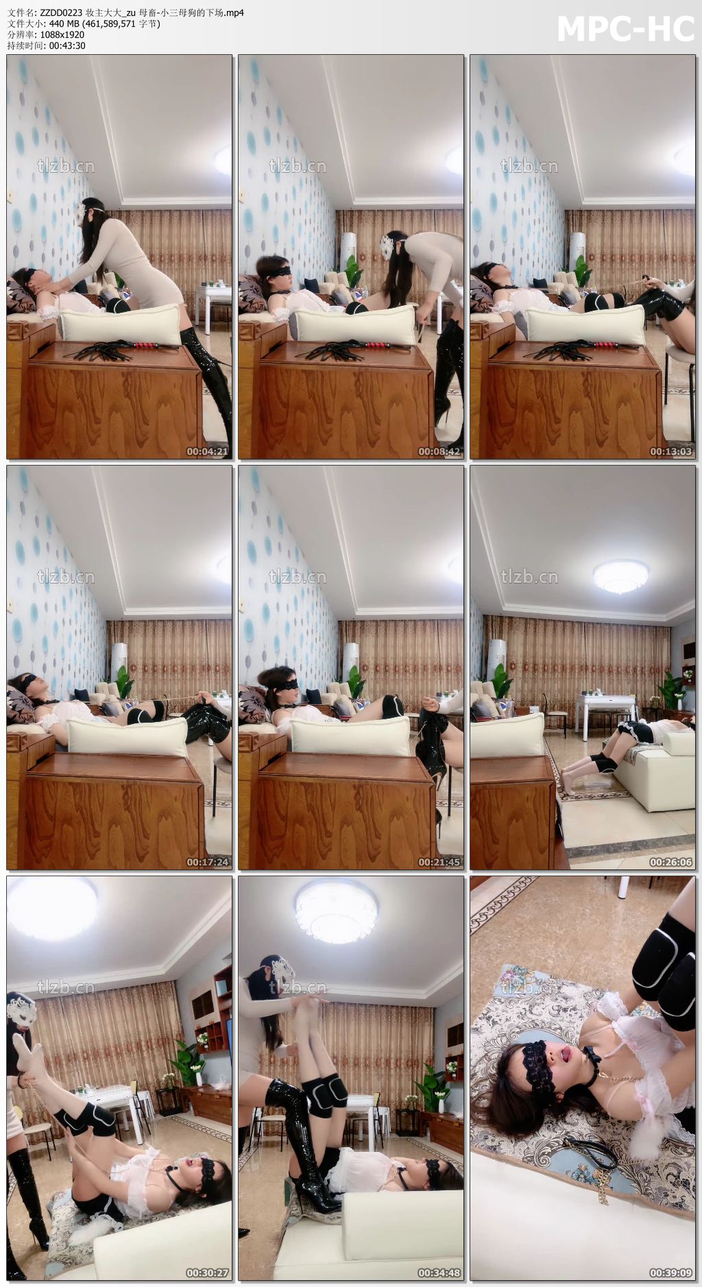 ZZDD0223 妆主大大_zu 母畜-小三母狗的下场.mp4_thumbs.jpg