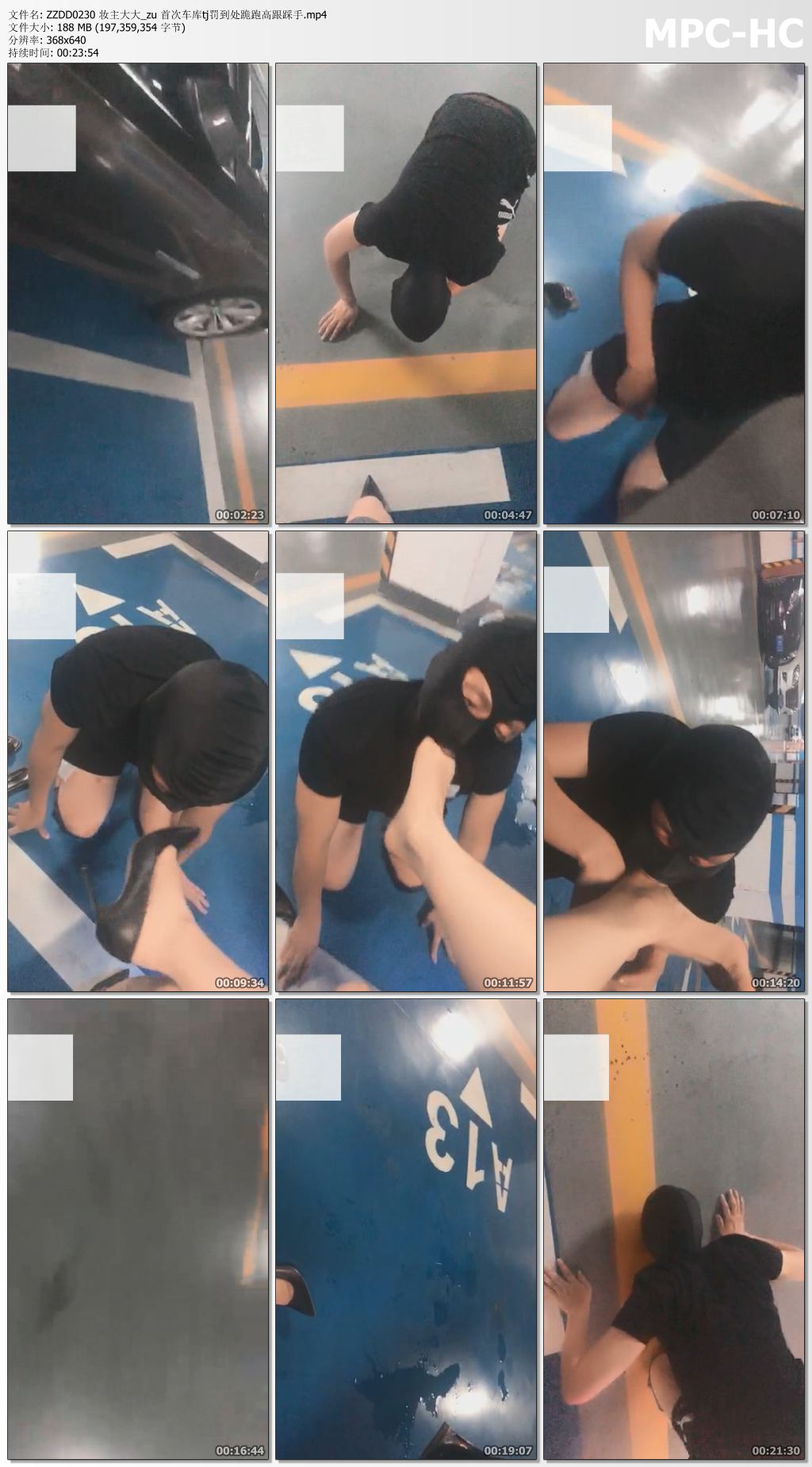 ZZDD0230 妆主大大_zu 首次车库tj罚到处跪跑高跟踩手.mp4_thumbs.jpg
