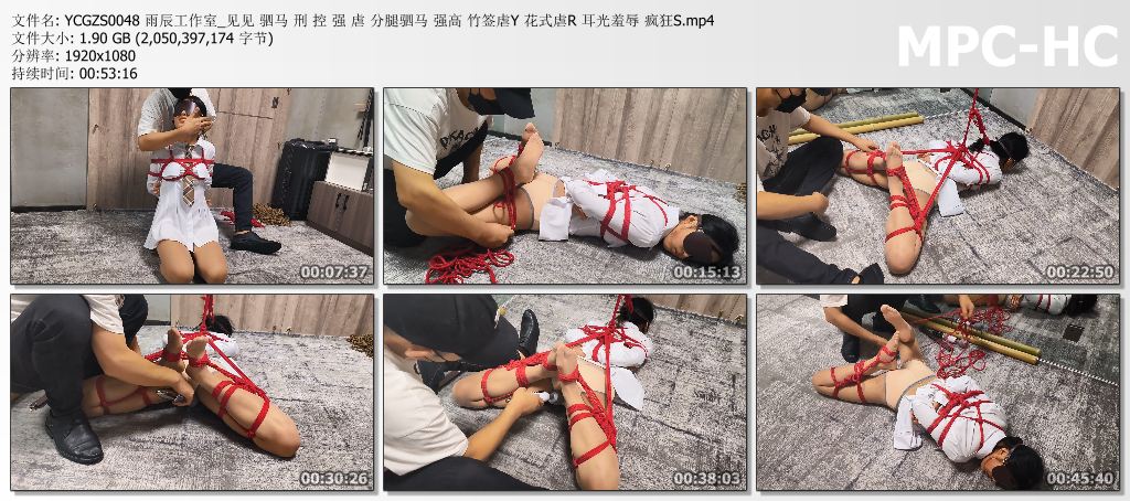 YCGZS0048 雨辰工作室_见见 驷马 刑 控 强 虐 分腿驷马 强高 竹签虐Y 花式虐R 耳光羞.jpg
