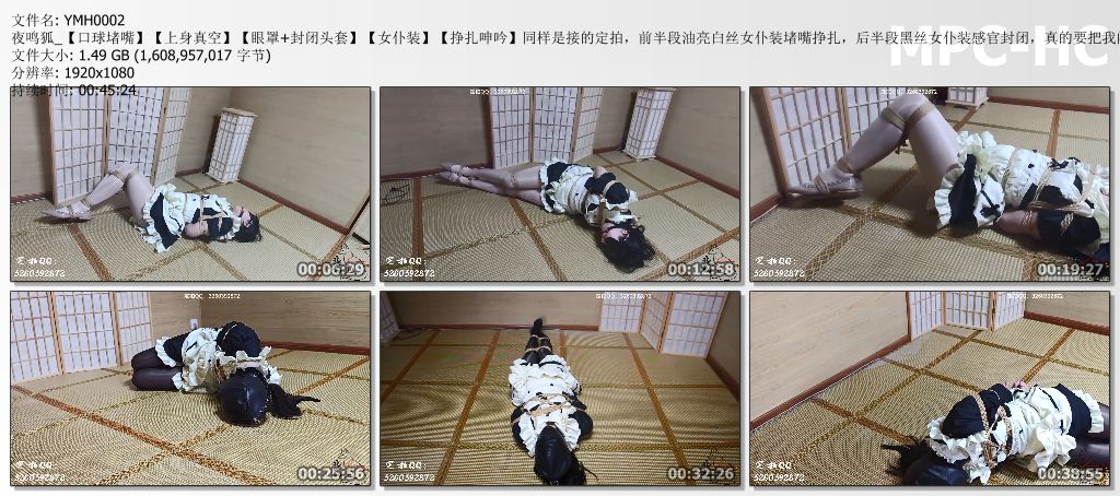 YMH0002 夜鸣狐_【口球堵嘴】【上身真空】【眼罩 封闭头套】【女仆装】【挣扎呻吟】同.jpg