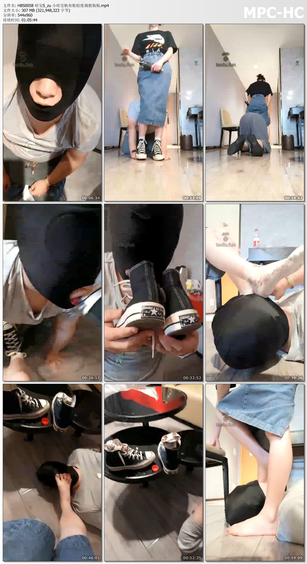 HBS0058 哈宝S_zu 小哈宝帆布鞋轻度调教狗狗.mp4_thumbs.jpg