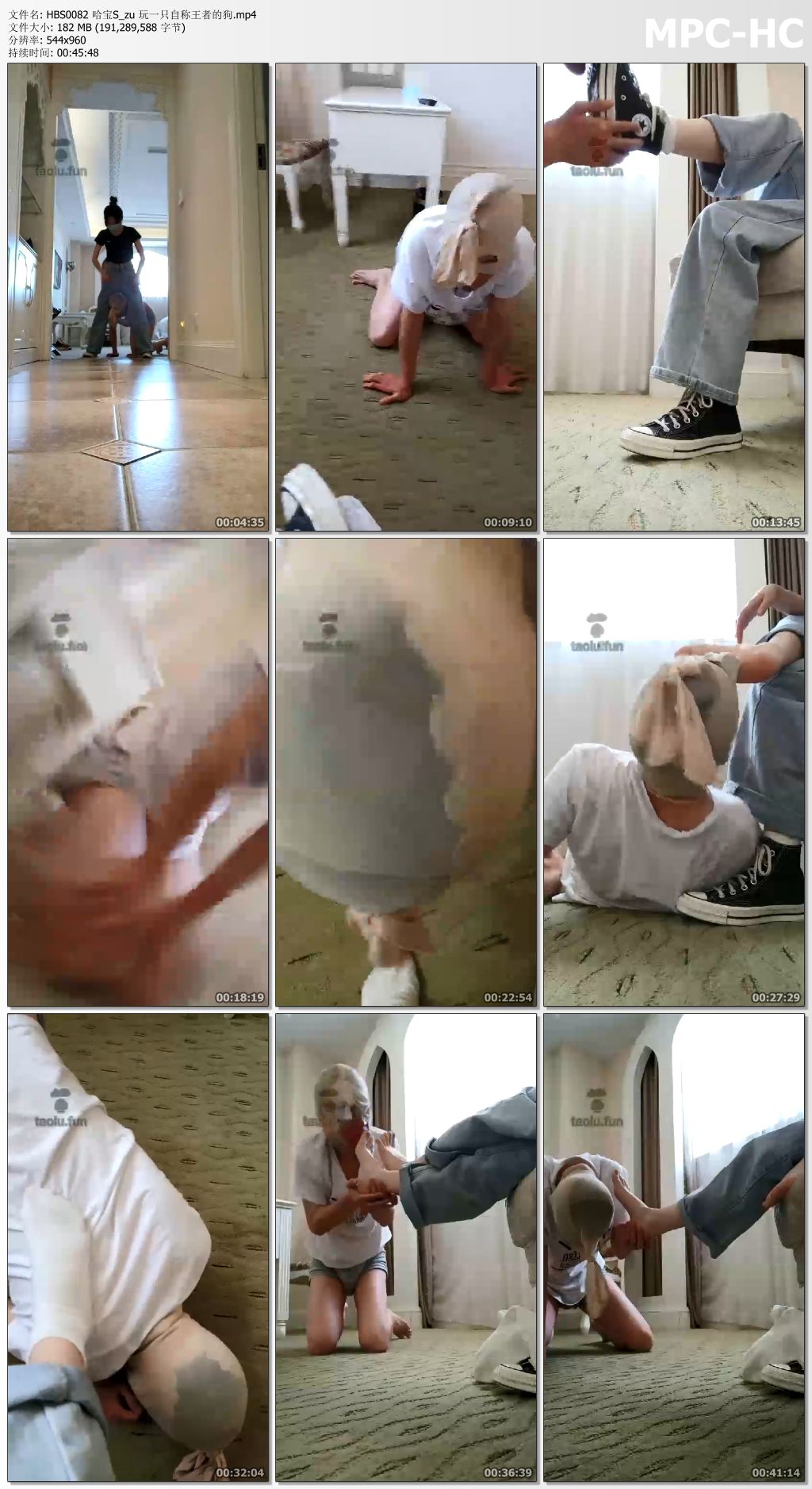 HBS0082 哈宝S_zu 玩一只自称王者的狗.mp4_thumbs.jpg