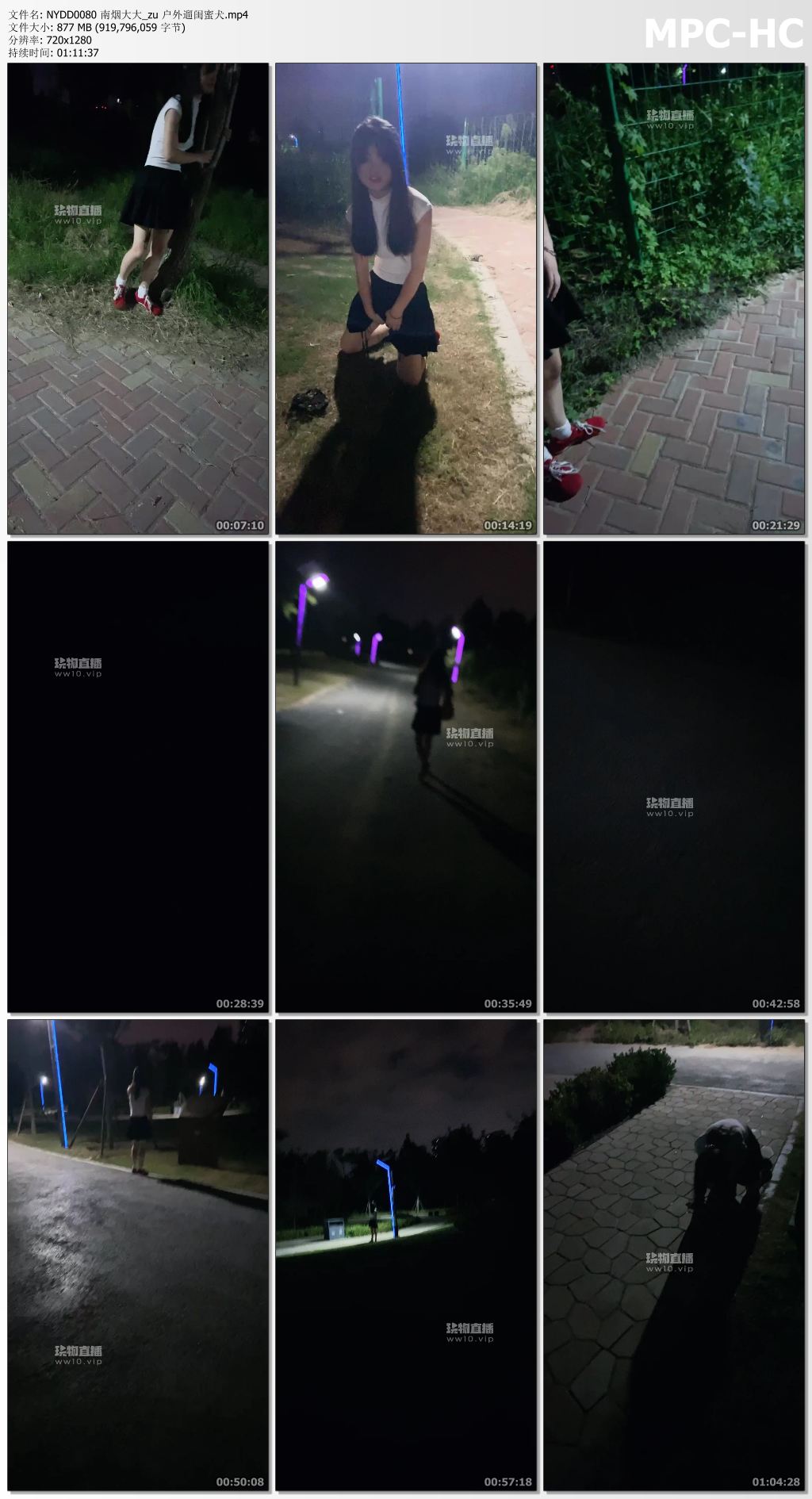 NYDD0080 南烟大大_zu 户外遛闺蜜犬.mp4_thumbs.jpg